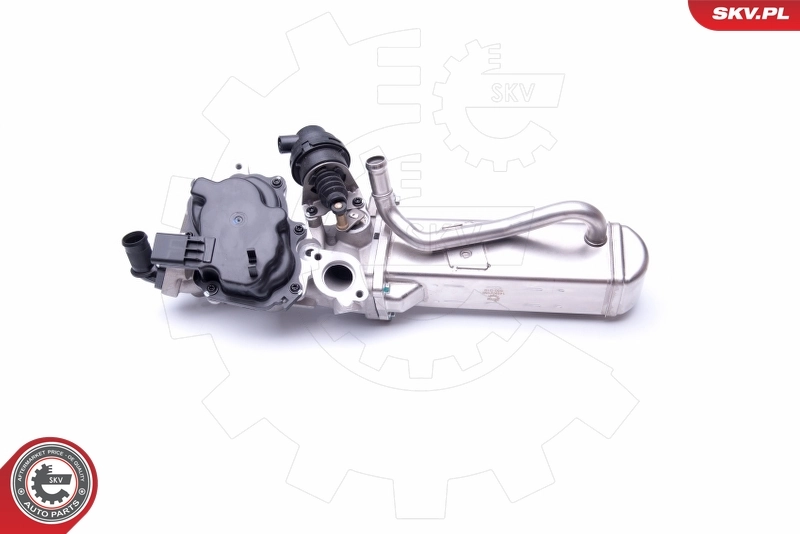 EGR Valve